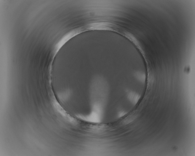 X0000112201386200909041306
