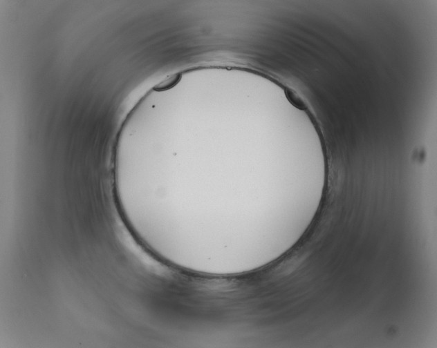 X0000112201387200909041306