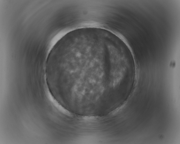X0000112201389200909041306