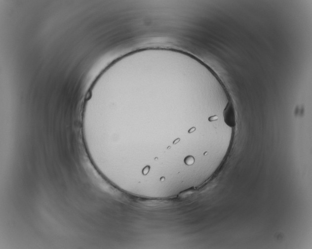 X0000112201392200909041306