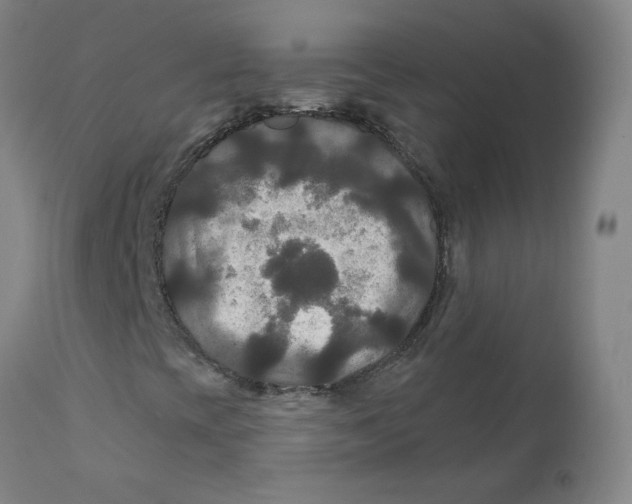 X0000112201393200909041306