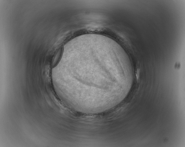 X0000112201396200909041306