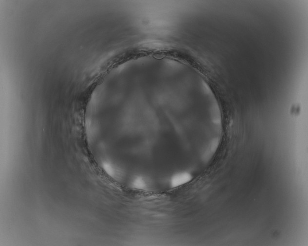 X0000112201397200909041306