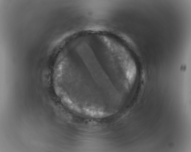 X0000112201398200909041306
