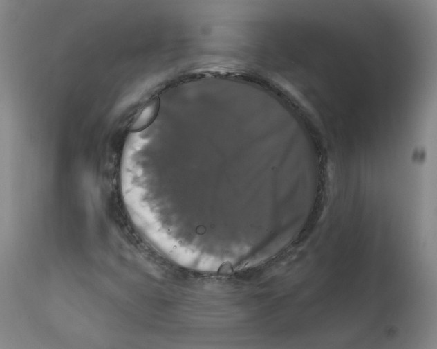 X0000112201399200909041306