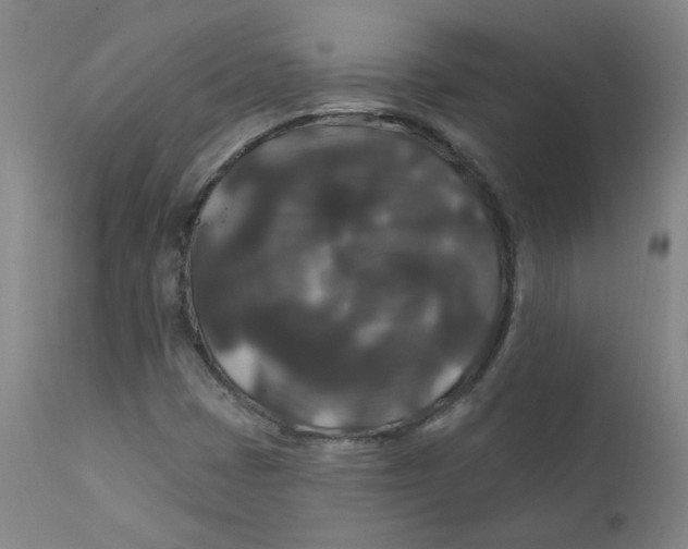 X0000112201401200909041306