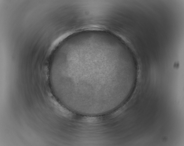 X0000112201402200909041306