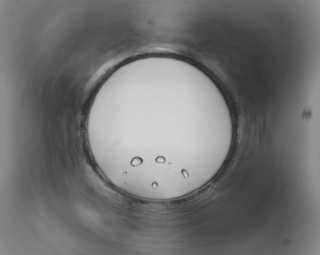 X0000112201404200909041306