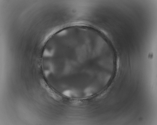 X0000112201405200909041306