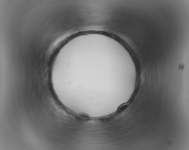 X0000112201406200909041306