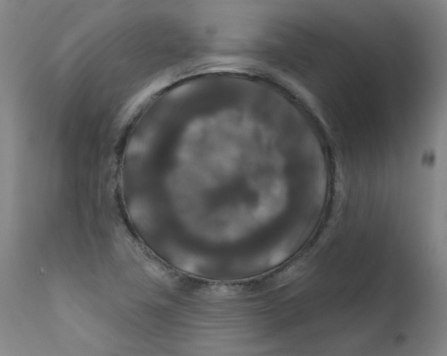 X0000112201411200909041306