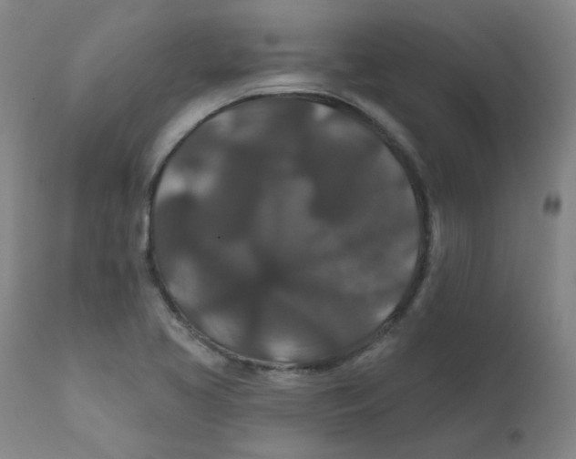 X0000112201413200909041306