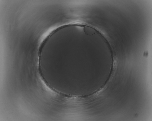 X0000112201414200909041306
