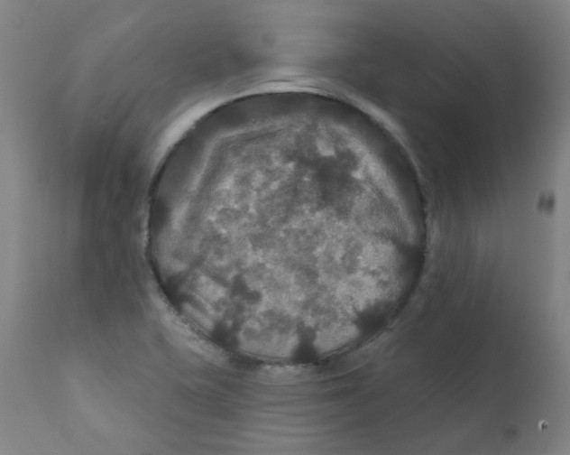 X0000112201415200909041306