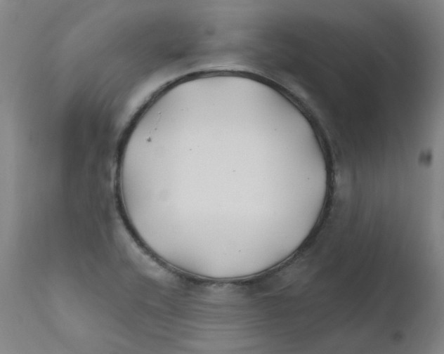 X0000112201416200909041306