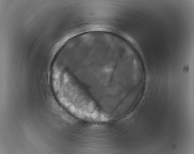 X0000112201419200909041306