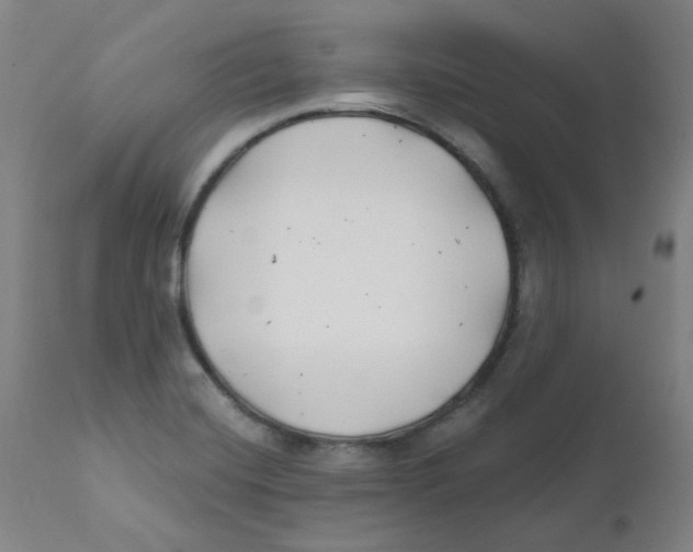 X0000112201420200909041306