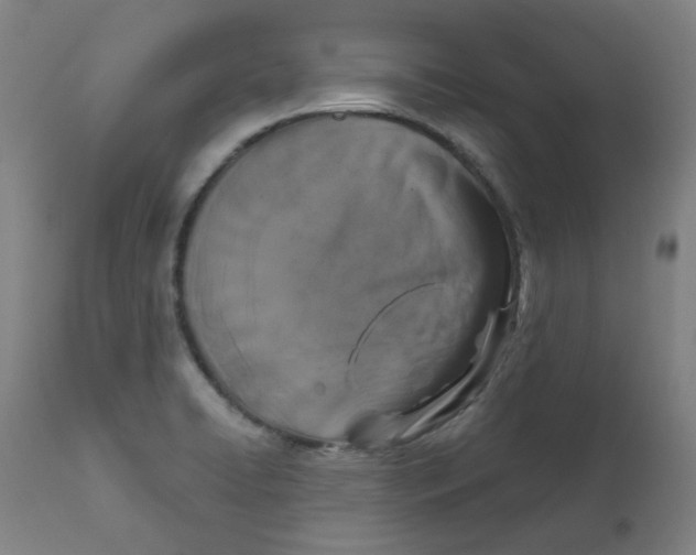 X0000112201422200909041306