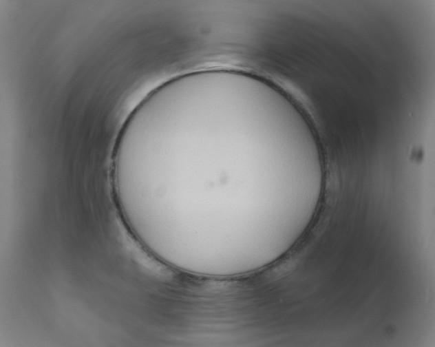 X0000112201423200909041306
