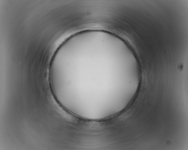 X0000112201424200909041306