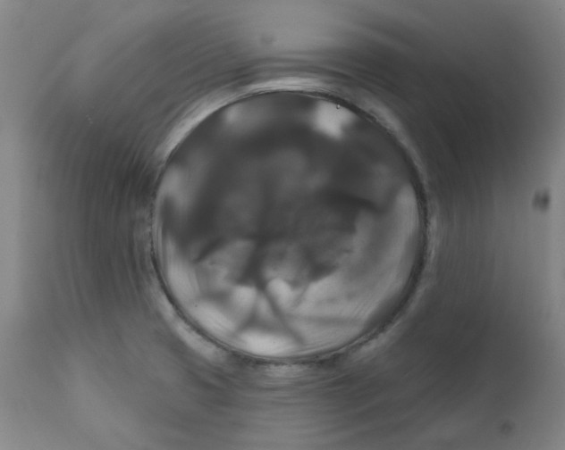 X0000112201425200909041306