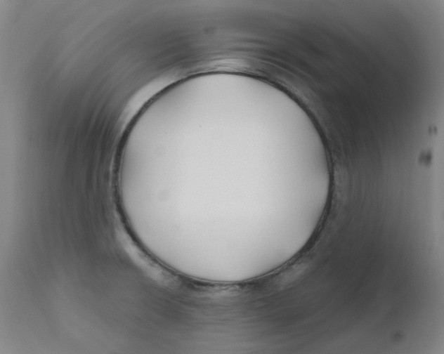 X0000112201426200909041306