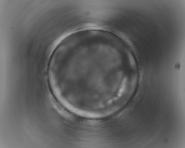 X0000112201427200909041306