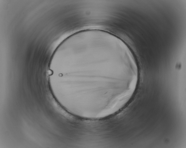 X0000112201428200909041306