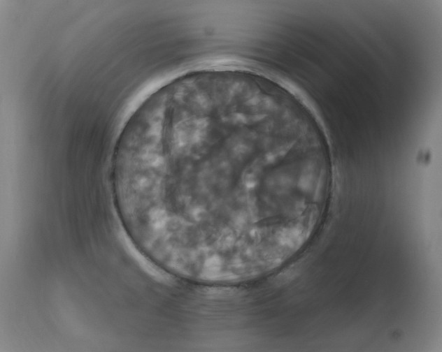 X0000112201429200909041306