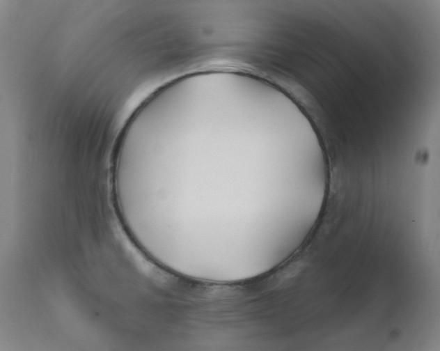 X0000112201430200909041306