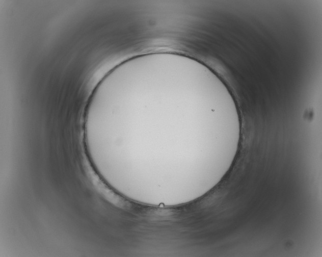 X0000112201431200909041306