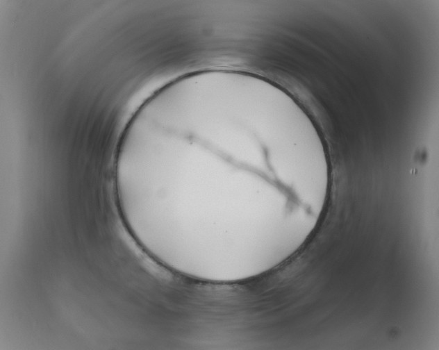 X0000112201432200909041306