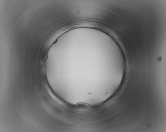 X0000112201433200909041306