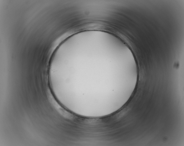 X0000112201434200909041306