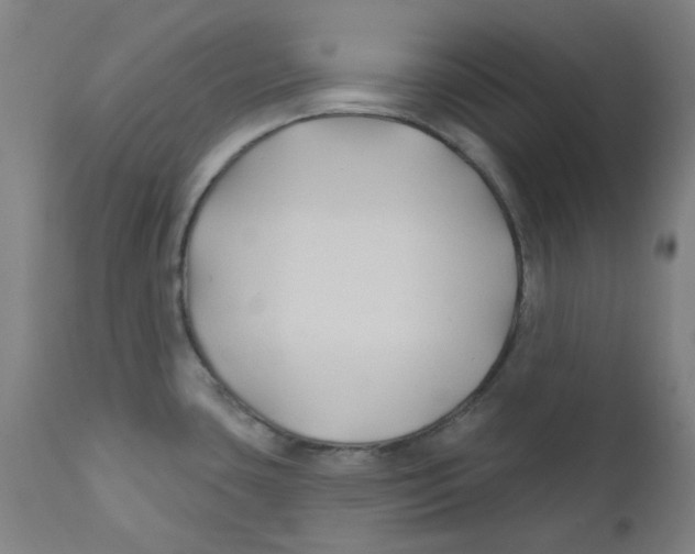 X0000112201435200909041306