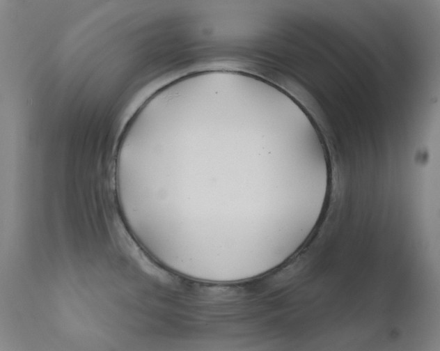 X0000112201436200909041306