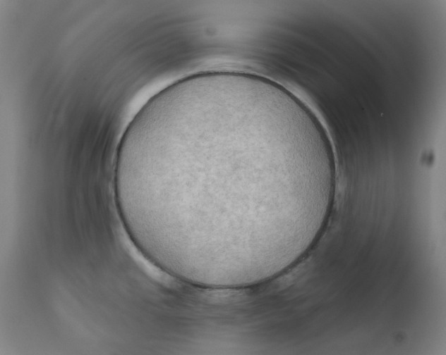 X0000112201437200909041306