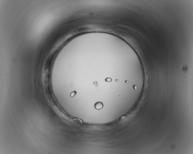 X0000112201438200909041306