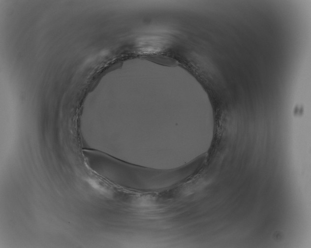 X0000112201441200909041306