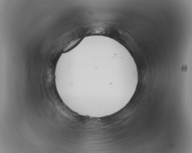 X0000112201442200909041306