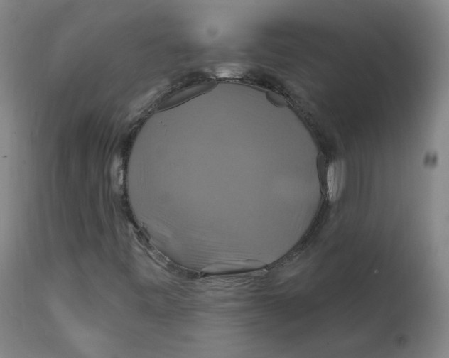 X0000112201443200909041306