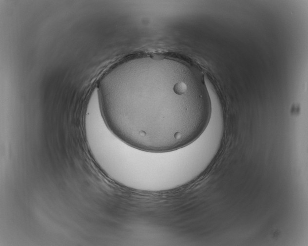 X0000112201444200909041306