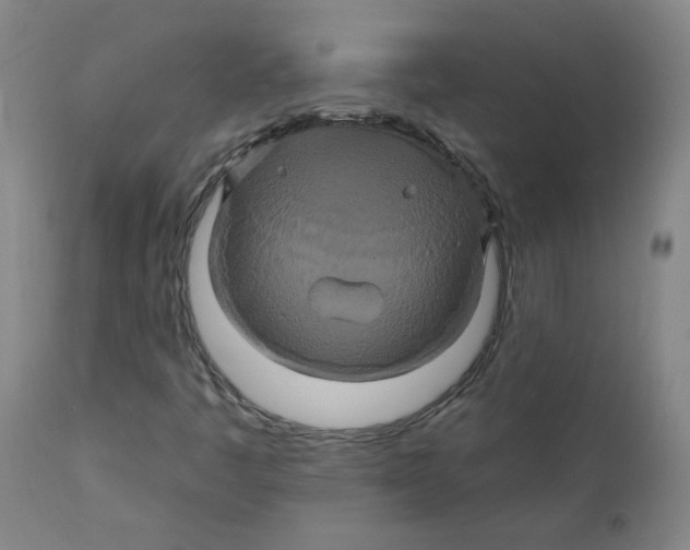 X0000112201445200909041306