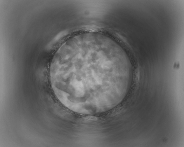 X0000112201446200909041306
