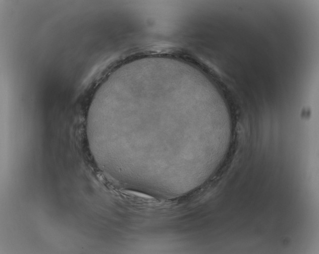 X0000112201447200909041306