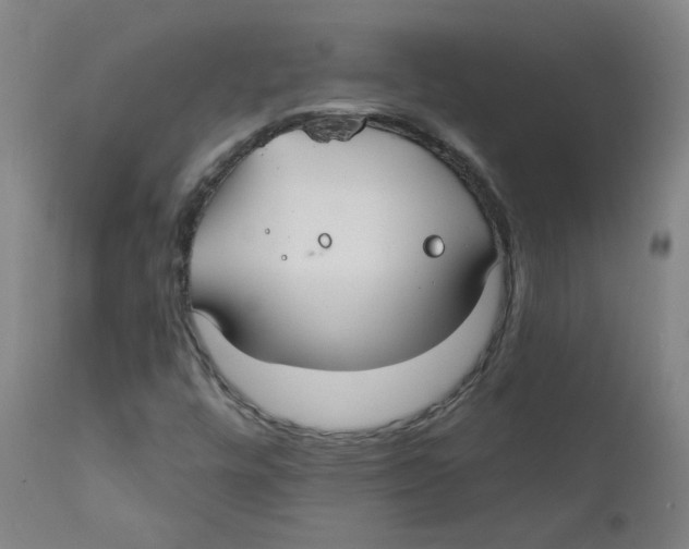 X0000112201448200909041306