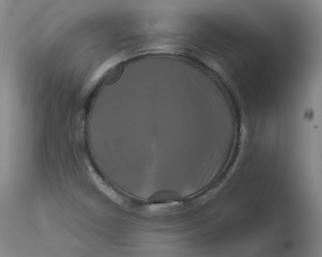 X0000112201450200909041306