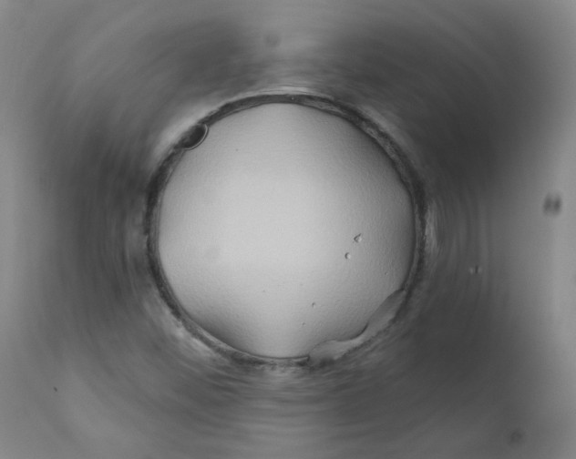 X0000112201452200909041306