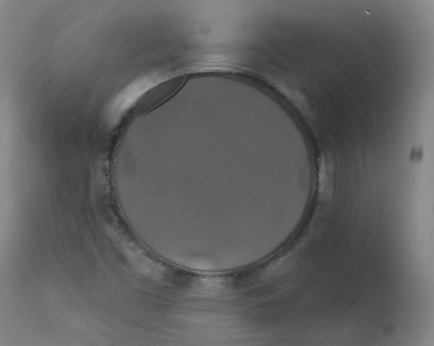 X0000112201453200909041306