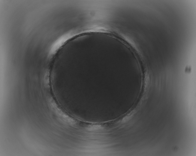 X0000112201455200909041306